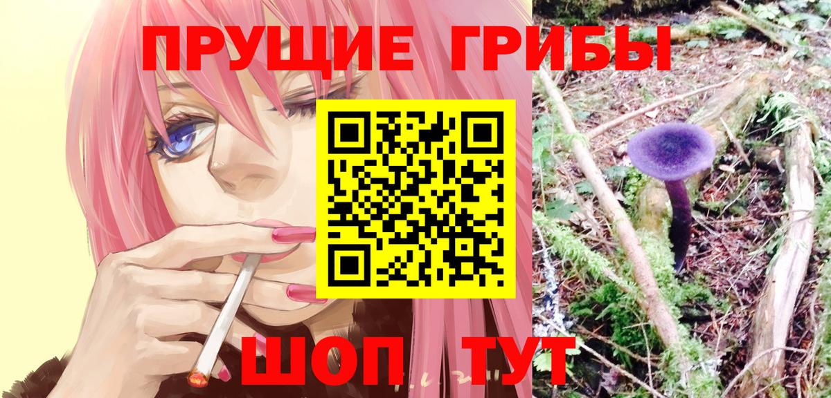 Галлюциногенные грибы MAGIC MUSHROOMS  Вход с VPN  Минеральные Воды  Псилоцибиновые грибы MAGIC MUSHROOMS 