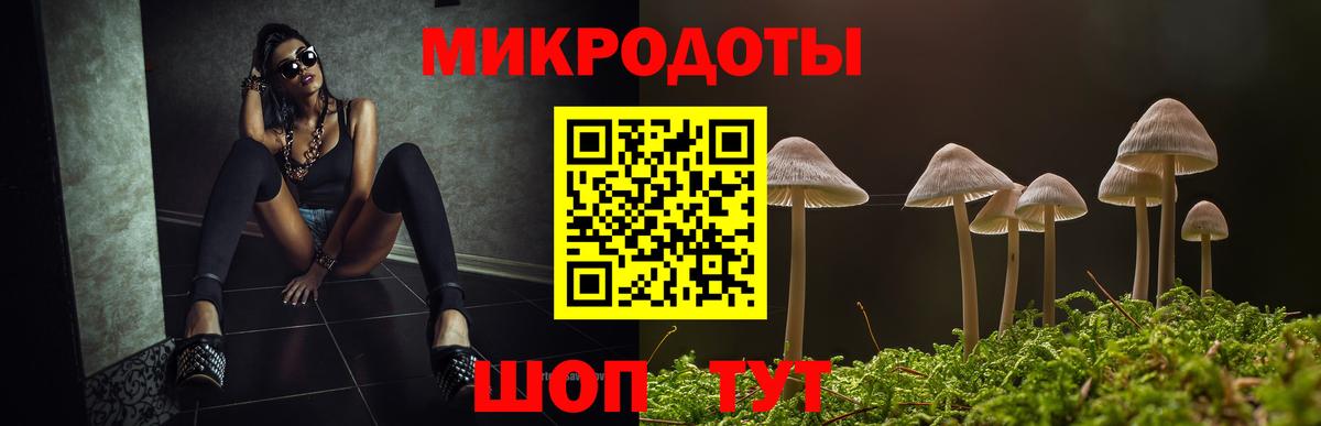 Галлюциногенные грибы Psilocybine cubensis Минеральные Воды