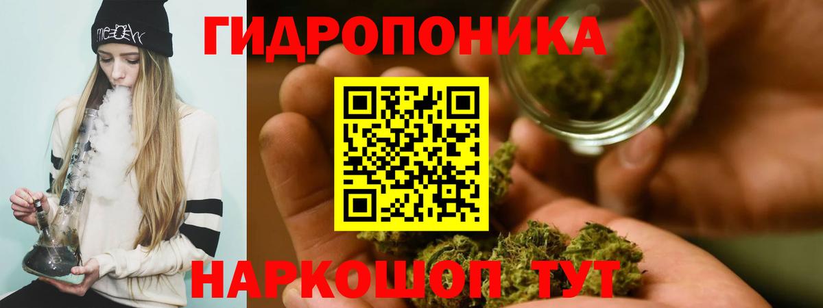 Шишки марихуана план Минеральные Воды